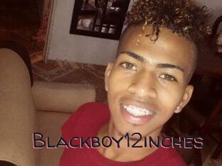 Blackboy12inches