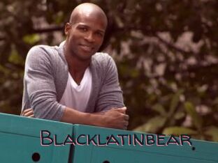 Blacklatinbear