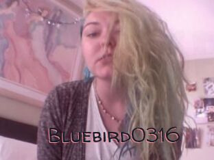 Bluebird0316