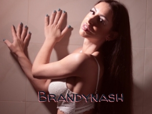 Brandynash