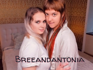 Breeandantonia