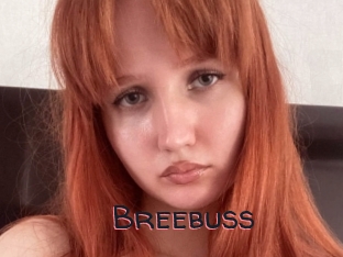 Breebuss