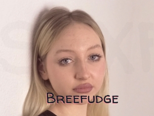 Breefudge