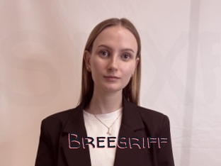 Breegriff