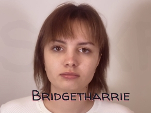 Bridgetharrie