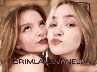 Brimlanandnelda