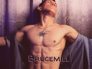 Brucemill