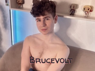 Brucevolt