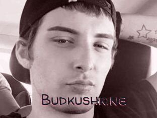 Budkushking