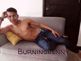 Burningbunny