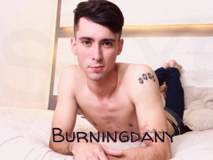 Burningdany