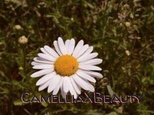 Camellia_XBeauty