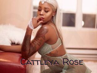 Cattleya_Rose