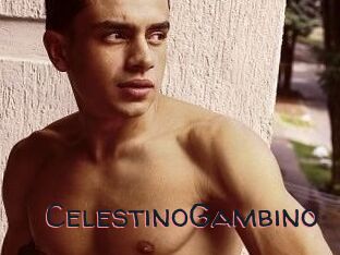 CelestinoGambino