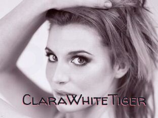 ClaraWhiteTiger