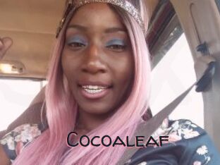 Cocoaleaf