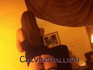 Calvinstallion