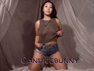 Candicebunny