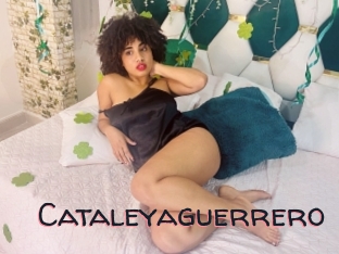 Cataleyaguerrero