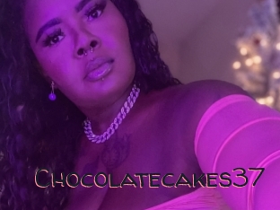 Chocolatecakes37