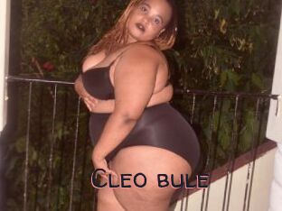 Cleo_bule