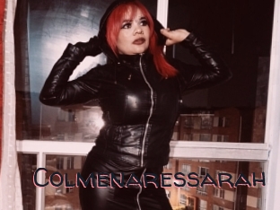 Colmenaressarah