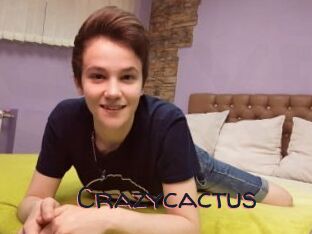 Crazycactus