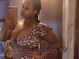 Curvybunny19