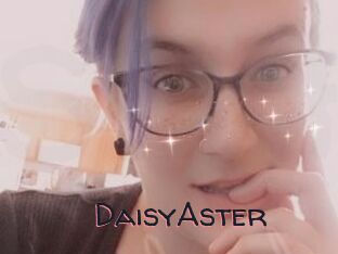 DaisyAster