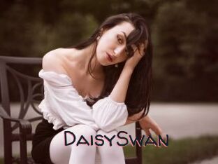 DaisySwan