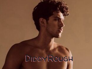 DiddyRough