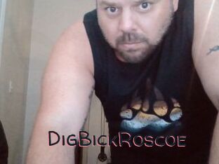 DigBickRoscoe