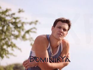 DominikYa