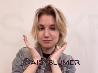 Daisyblumer