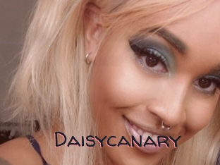 Daisycanary