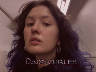 Daisycurles