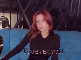 Daisyecton