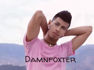 Damnfoxter