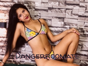 Dangerroomate