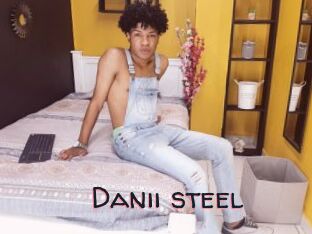 Danii_steel