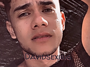 Davidsexibig