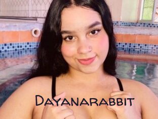 Dayanarabbit