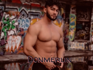 Donmerlin