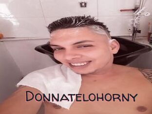 Donnatelohorny