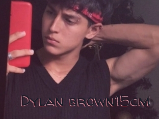 Dylan_brown15cm