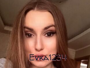 Evka1234