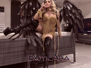 ExoticAra