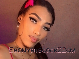 Ebonybiigcock22cm