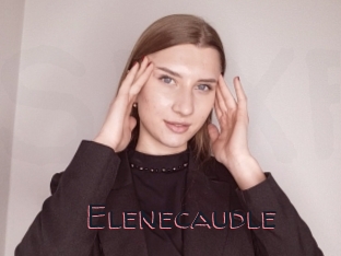 Elenecaudle