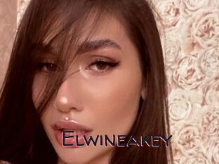 Elwineakey